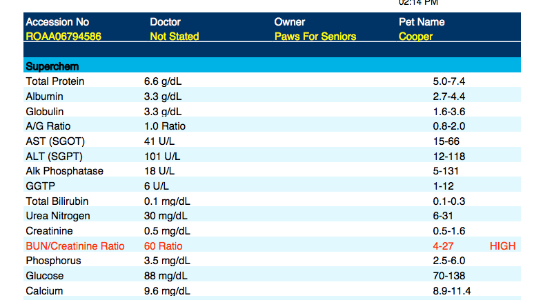 After 4 months his Liver values were back to normal